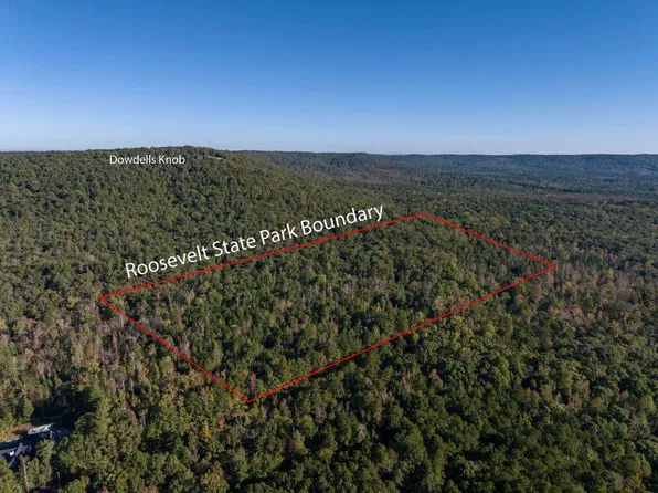 TRACT Trammell Mill Rd, Shiloh, GA 31826