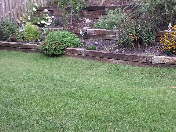 backyard in summer