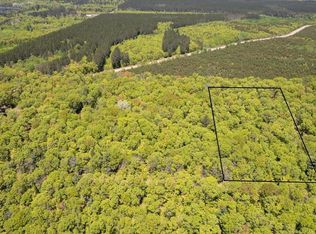5 Acres Tressel Trl, Iron River, WI 54847