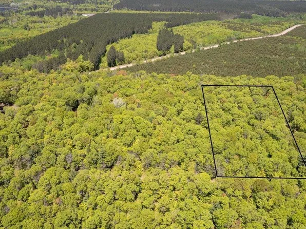 XXX (5 acres) Tressel Trail, Iron River, WI 54847