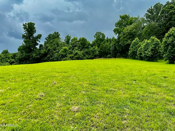 Dogwood Cove Dr, Spring City, TN 37381