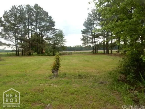 2518 Greene 415 Rd, Rector, AR 72461