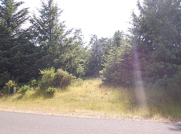 2nd image of 351 Ponderosa Loop NE