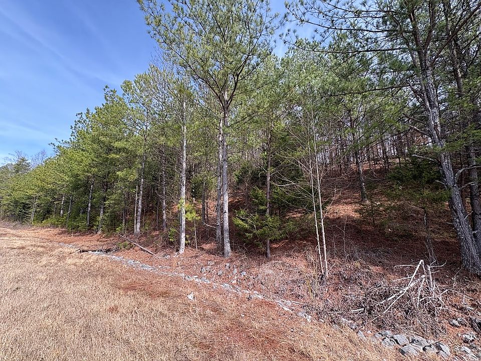2nd image of TRACT 1B Cleveland Hwy #1A