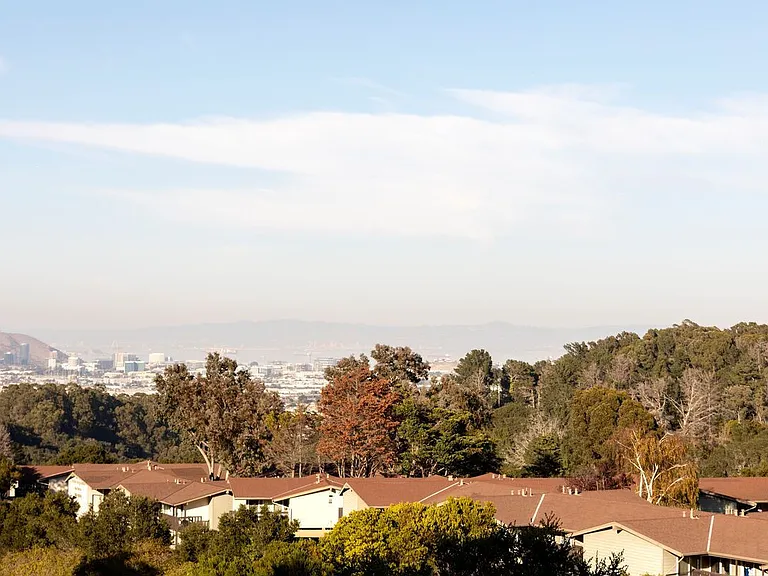 Crystal Springs Terrace — Photo 12