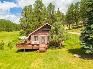 23751 Burnt Fork Rd, Hill City, SD 57745