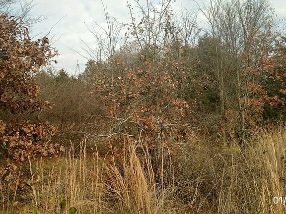 4th image of 9223 Payton Dr