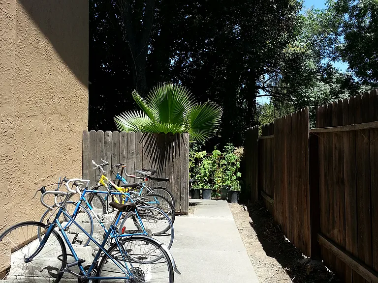 1411 Drake Dr — Photo 5