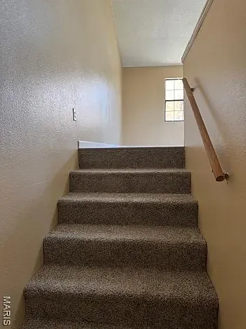 2011 Maple Tree Ln — Photo 16