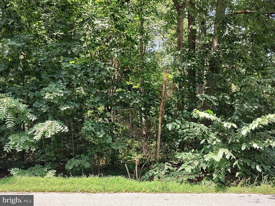 1st image of 29 Halleck Dr