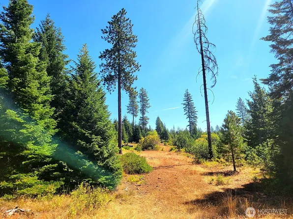 0 Lot 2 Simcoe Mountain Reserve, Goldendale, WA 98620