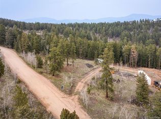 733 Delwood Dr, Bailey, CO 80421