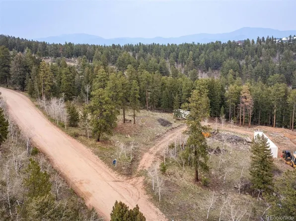 733 Delwood Drive, Bailey, CO 80421