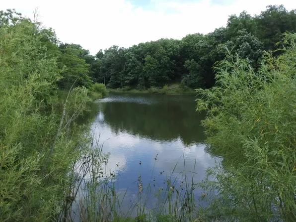 0 Flick Rd, Queen City, MO 63561