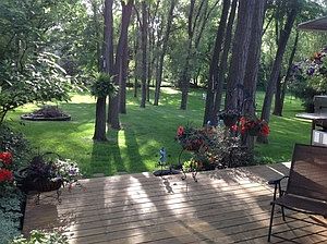 view from deck