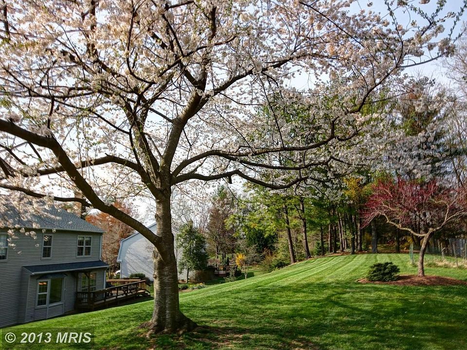 2nd image of 10330 Dunn Meadow Rd