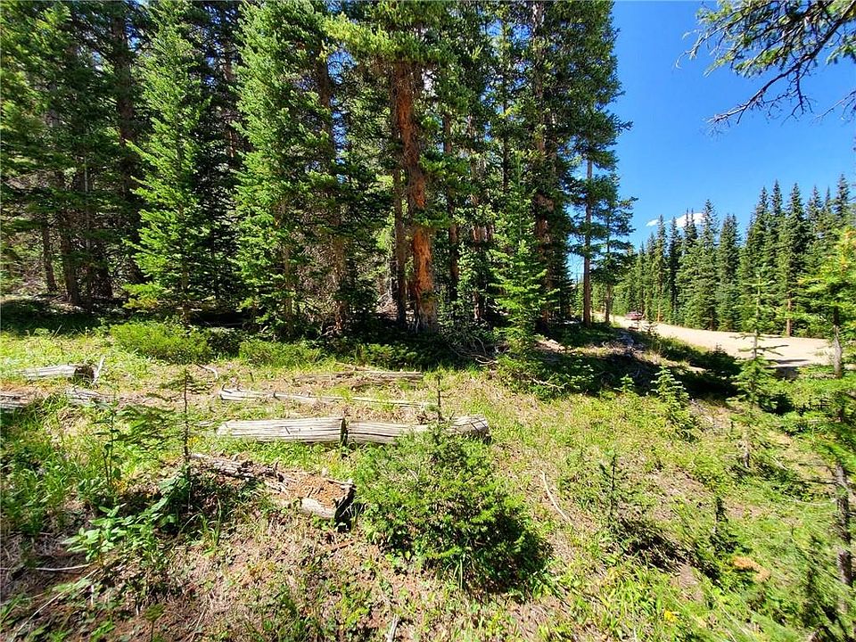 171 Bum Dr, Fairplay, CO 80440 Zillow