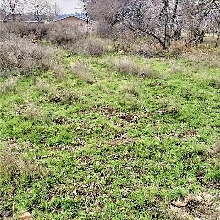 1st image of Nna Woods
