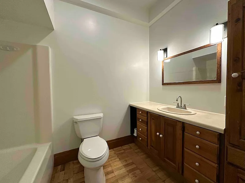 1 bed, 500 sqft, $1,250 — Photo 3