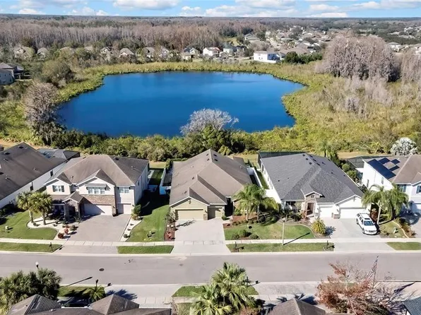 22583 Cherokee Rose Pl, Land O Lakes, FL 34639