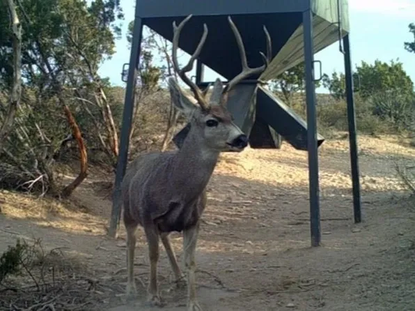 0 Chriesman Rd #24, Dryden, TX 78851