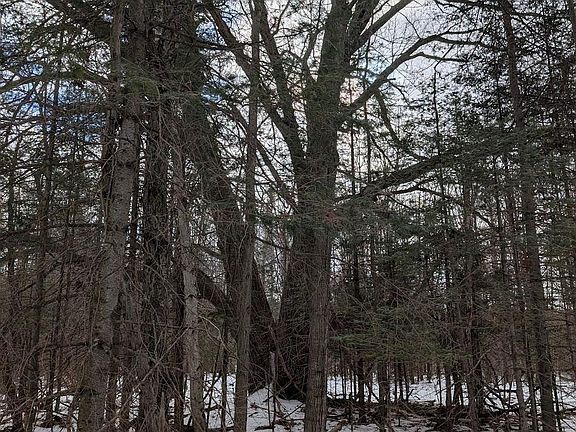 3rd image of 2370 S Coville Rd