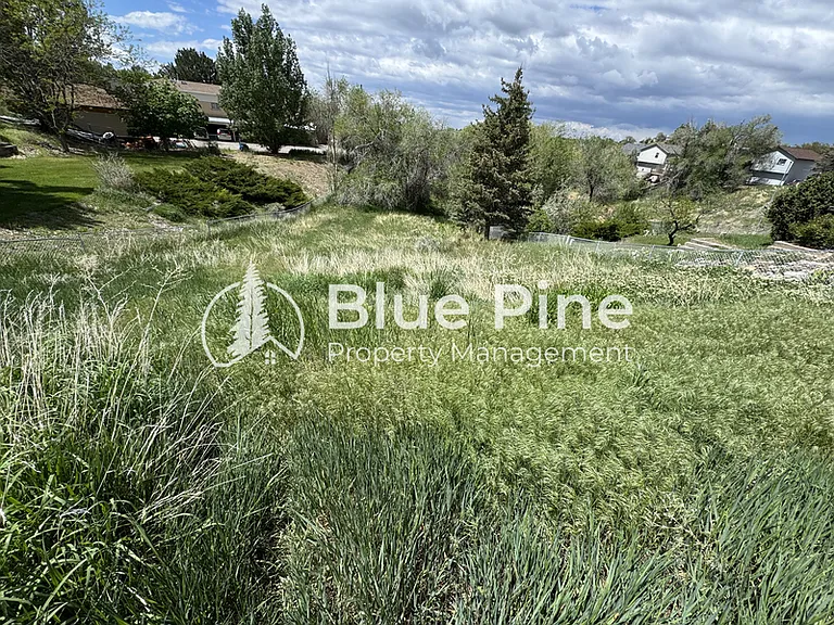 2298 Horizon Dr — Photo 13