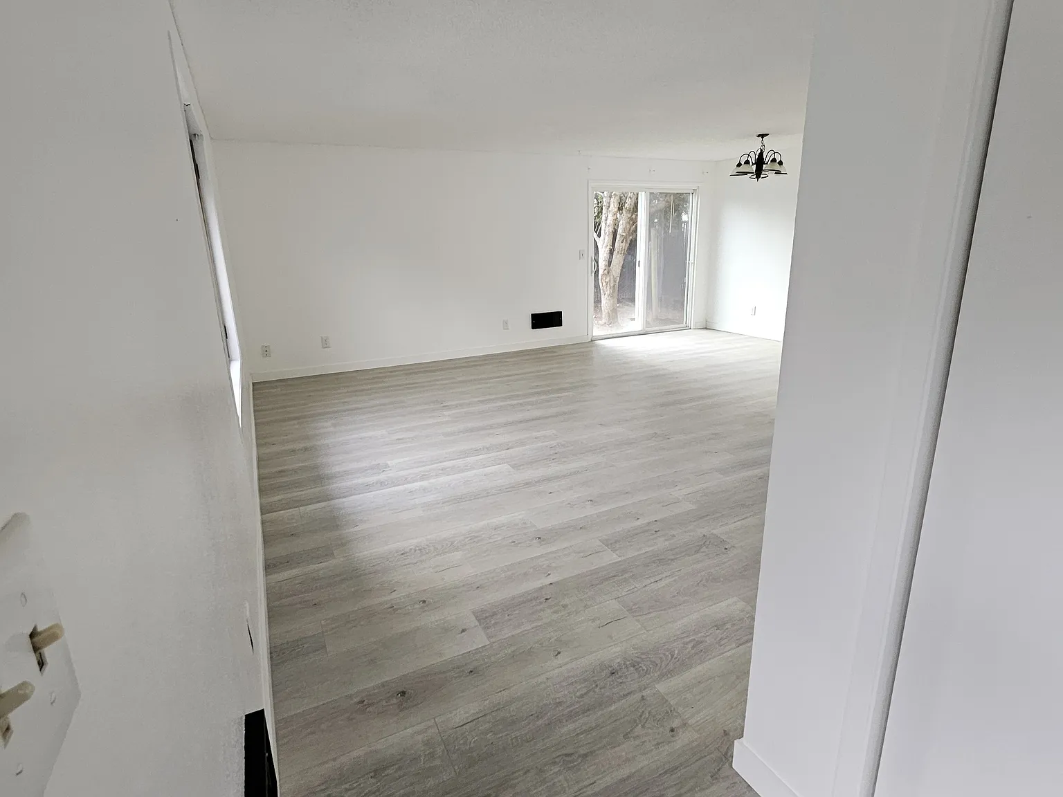 2 bed, 1000 sqft, $1,557 — Photo 3