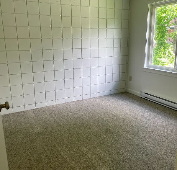 237 Maple St #3 — Photo 11