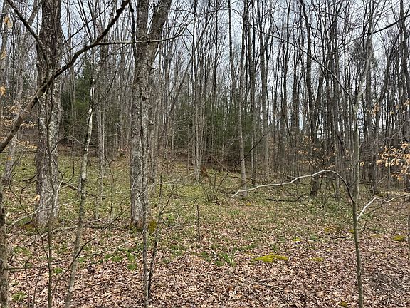 4th image of Sugar Camp Rd