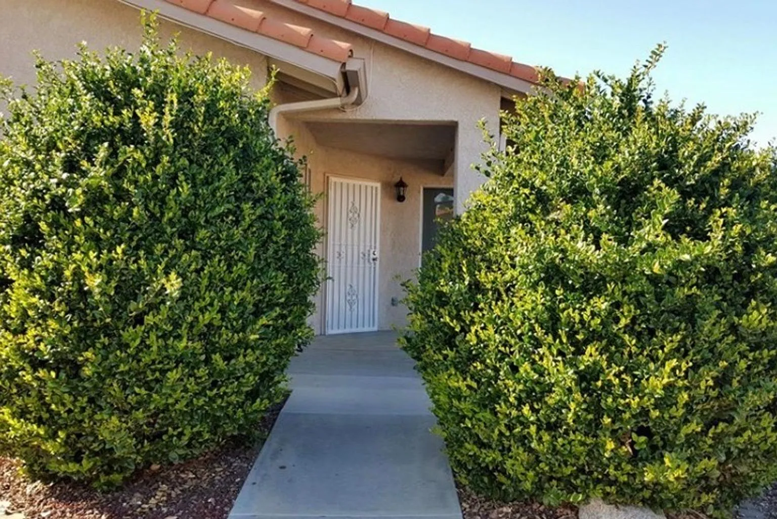3 Bedroom 2 Bath House For Rent In San Jacinto — Photo 2