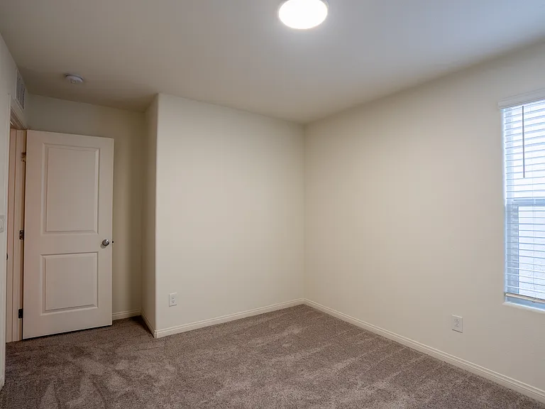 4160 Scarlet Cob Ave — Photo 27