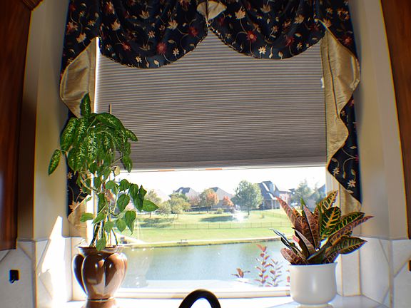 Pond from kitchen window