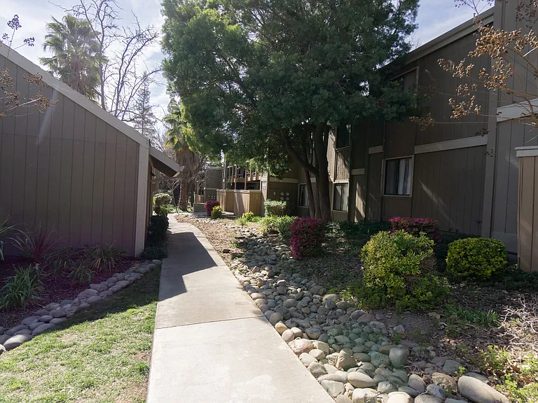 Fountain Grove — Photo 12