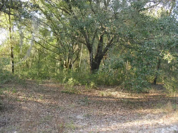 102 Citrus Ct, Crescent City, FL 32112