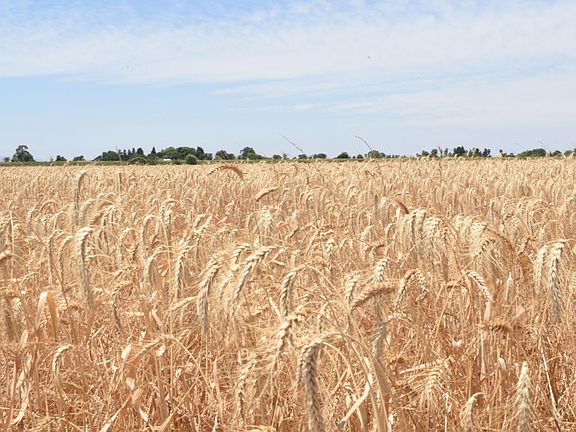 2nd image of 16071 Tyler Island Rd