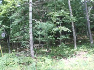 V/l N, Free Soil, MI 49411