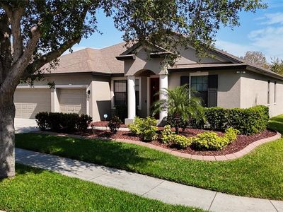 12710 Trinity Springs Ln, Riverview, FL, 33569