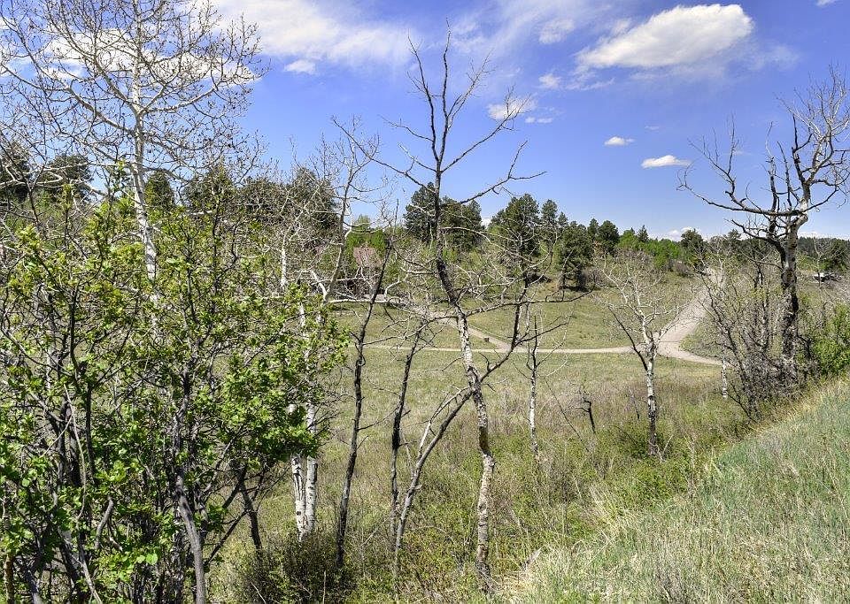 1st image of Tbd Alpine Ln