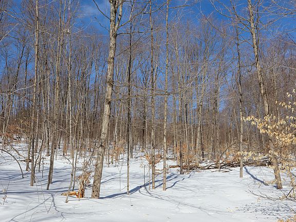 5th image of Walker Rd NW