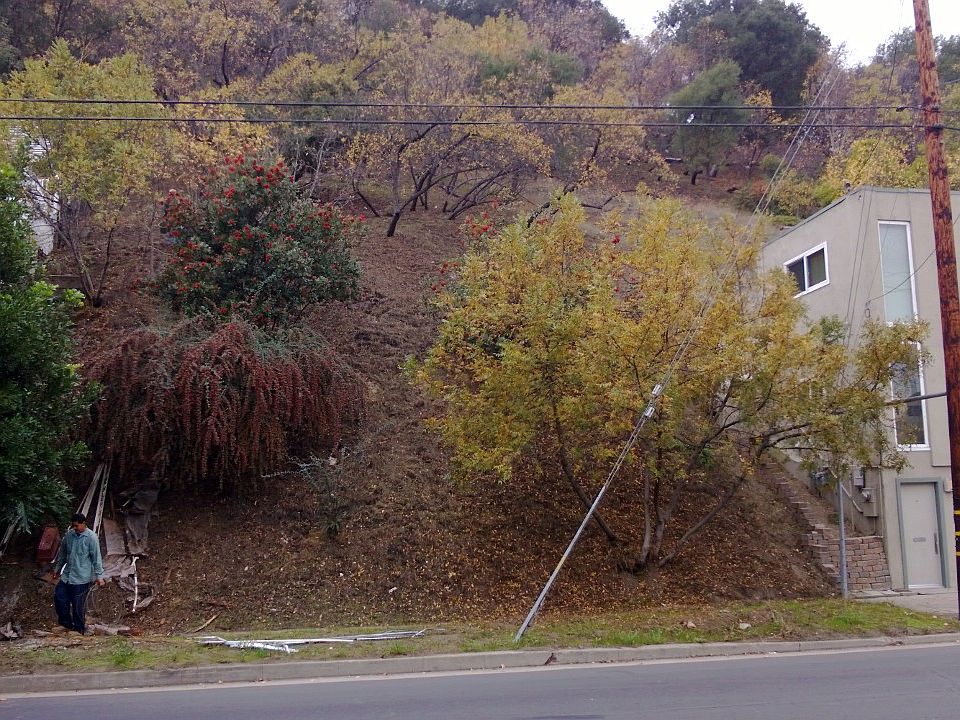 2nd image of 12448 Laurel Terrace Dr