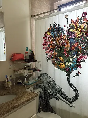 Rented by Mason Real Estate | media 19