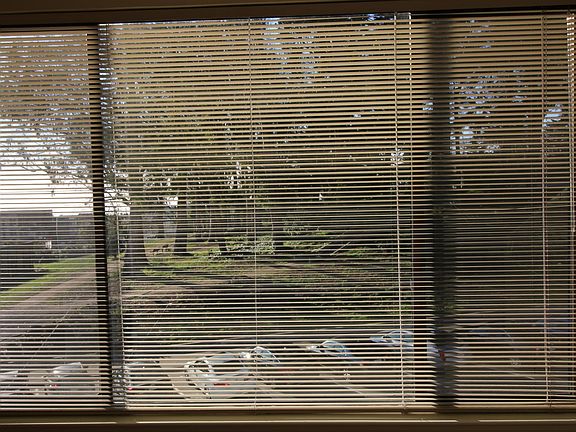 3rd image of 2362 22nd Ave APT 3