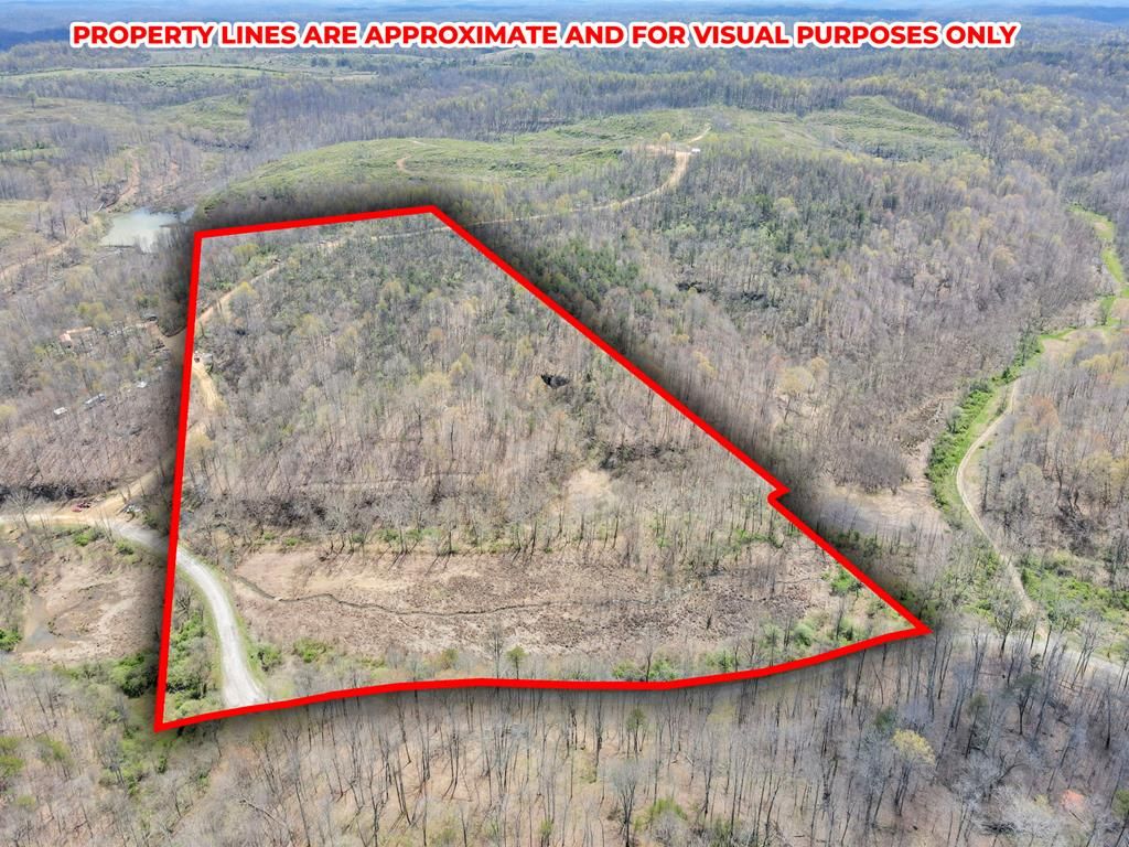Real estate listing image
