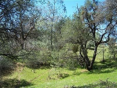 3rd image of 6866 Mosquito Rd