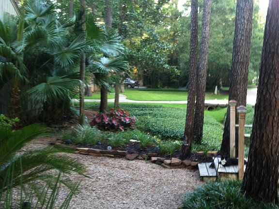 professional landscaping