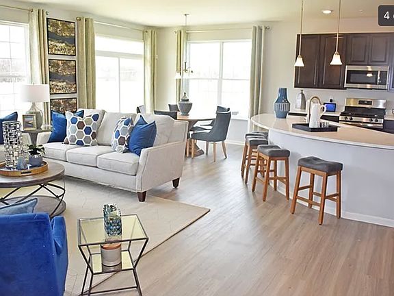 Living room and Kitchen view