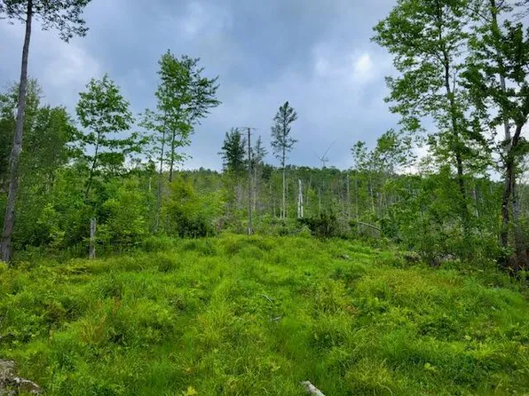 Lot 7 Brown Road, Oakfield, ME 04763