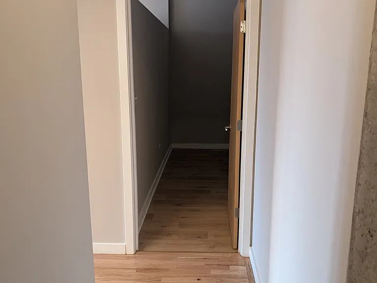 1720 S Michigan Ave #811 — Photo 30