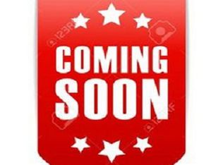 0 Canyon Ln, Mount pleasant, SC 29466